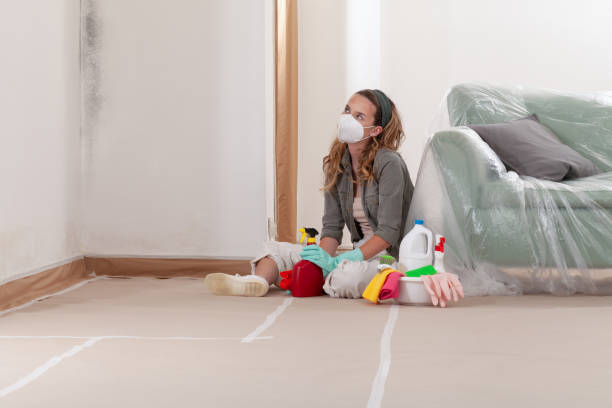Reliable Crawl Space Mold Removal contractor in Sharpsburg, NC by WQB Mold Removal